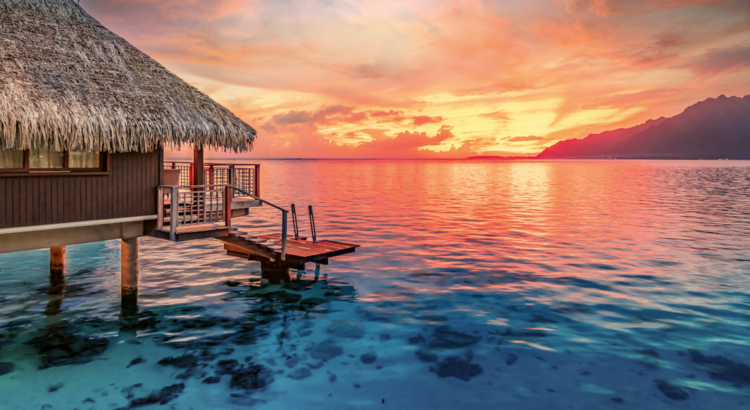 Plantours Südsee Bungalow.jpg