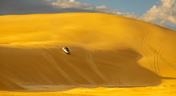 Australien Südaustralien Eyre Peninsula Dünen Foto SATC Heidi Lewis.jpg