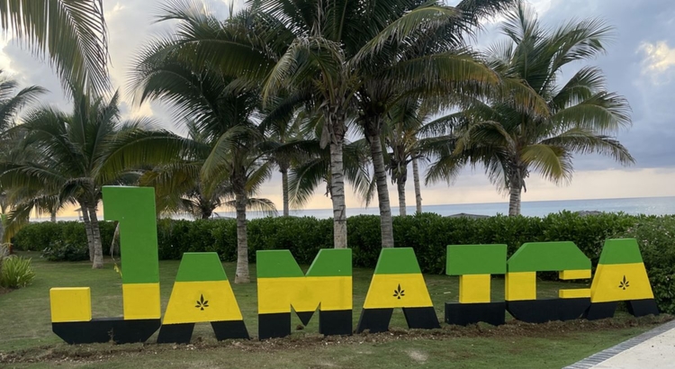 Jamaika Symbol Palmen Foto iStock Nirman S