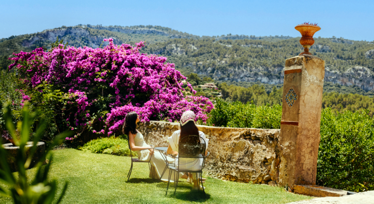 ADV Mallorca Wiese.jpg