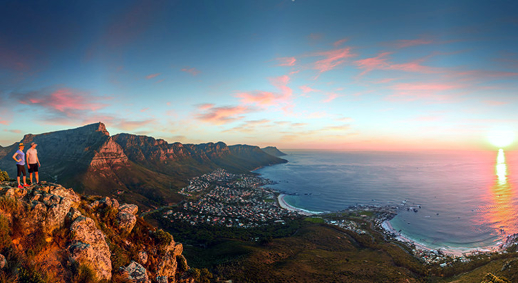 Südafrika hero-SAT WC Lions Head.jpg