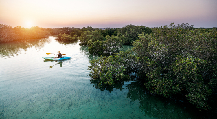 Kayaking at Jubail Mangrove Park_.jpg
