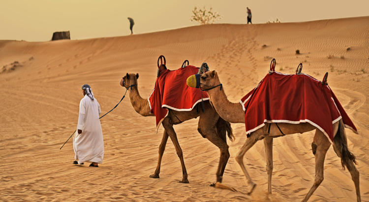 Emirate Kamel Wüste