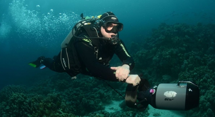 Kurmann Oliver Tauchreisen Travel Team Action Sport Foto Travel Team Action Sport