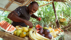 Jamaika Fruchtstand Verkäufer Foto JTB.jpg